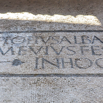 mosaico nel frigidarium orientale